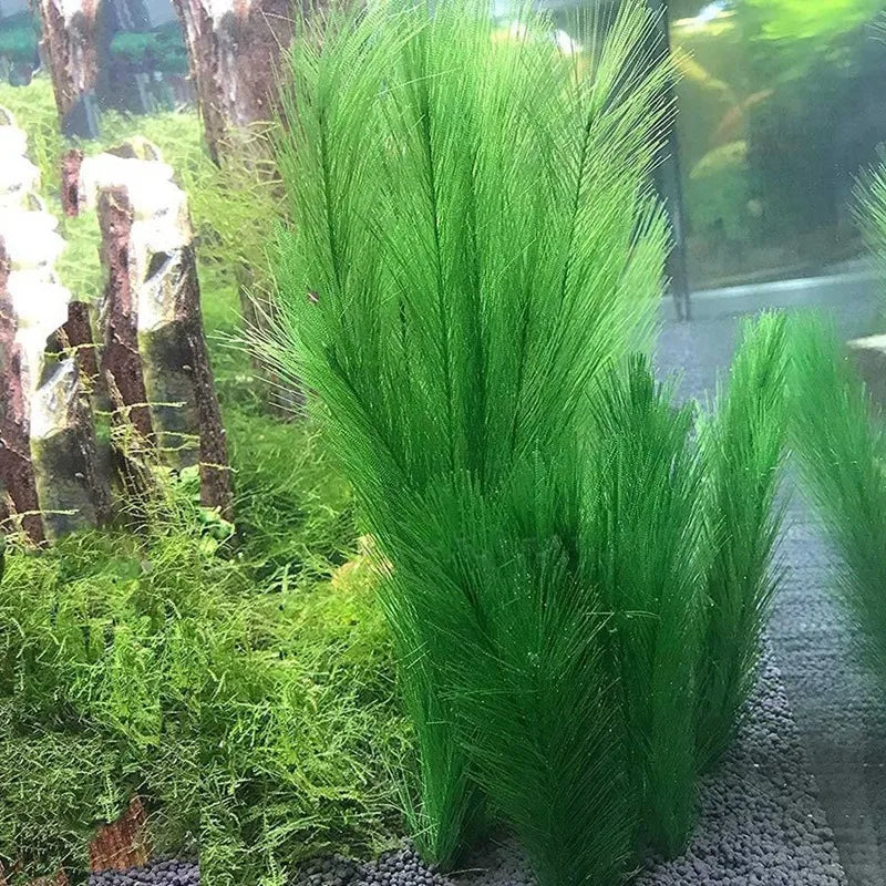 HOT SALE Aquarium Decorations Fish Tank Artificial Green Water Plants Made Of Silk Fabrics Plastic,for All Fish and Pets 5Pcs