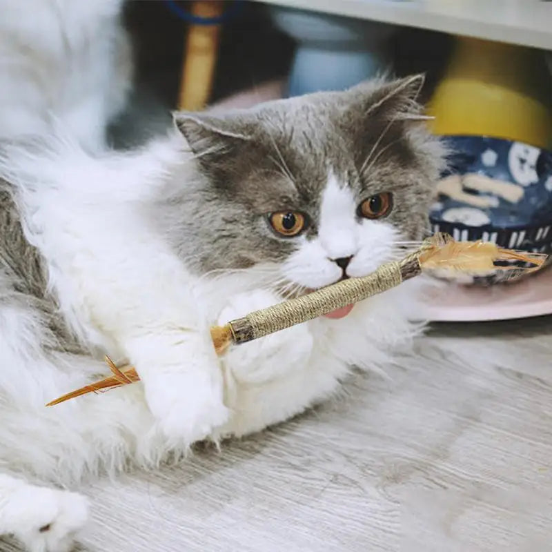 Natural Cat Toys Chew Stick Kitten Treat Catnip Toy Pet Stuff Catnip Pet Safety Chew Toys Cleaning Teeth Dental Cats Snacks