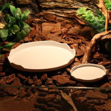 Reptile Food Bowl, Water Bowl, Eggshell Shape for Turtles, Lizards, Geckos, Bearded Dragons and Other Amphibians